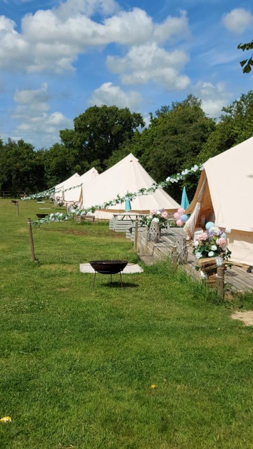 Hopgarden Glamping - Luxury 6M Bell Tent Wadhurst Экстерьер фото